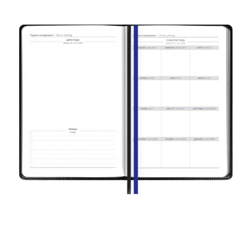 Ежедневник Alanis, недатированный, черный с синим
