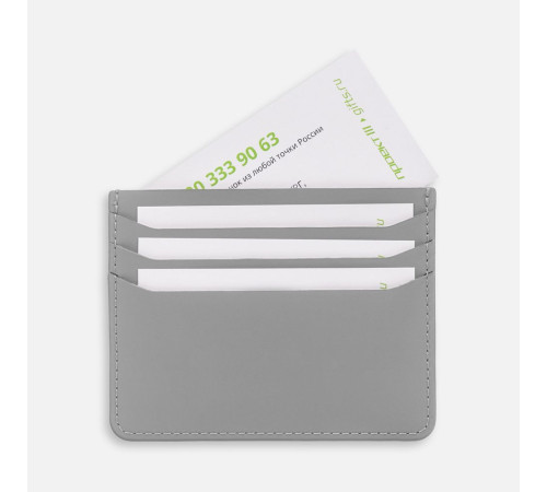 Чехол для карт Alaska, серый