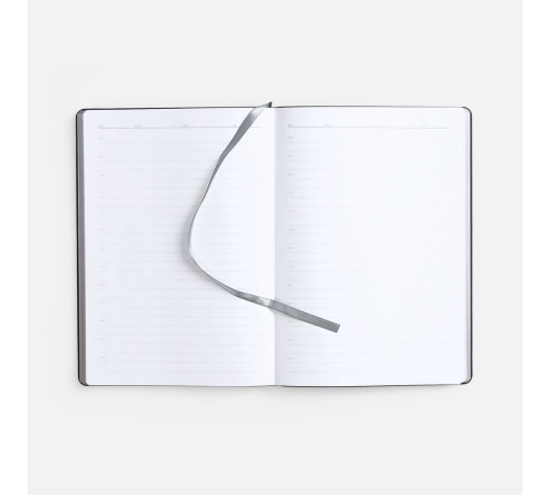 Ежедневник Nebraska Flex, недатированный, серебристый