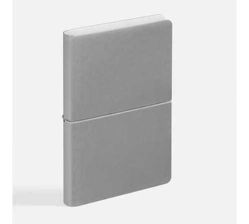 Ежедневник Waltz, недатированный, серебристый