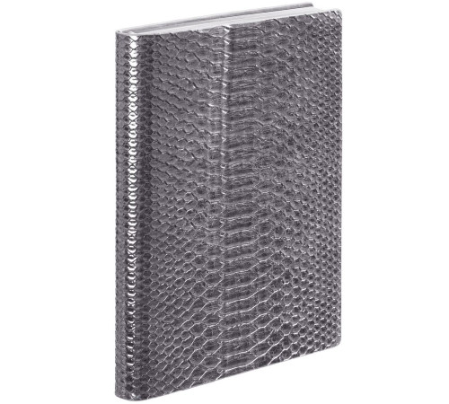 Ежедневник Anaconda, недатированный, серебристый