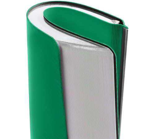 Ежедневник Aspect на заказ, недатированный, зеленый