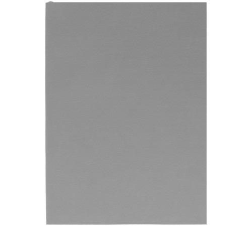 Ежедневник Flat, недатированный, серый