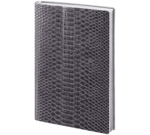 Ежедневник Anaconda, недатированный, серебристый