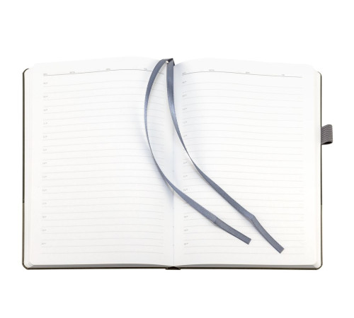 Ежедневник Horizon, недатированный, серый