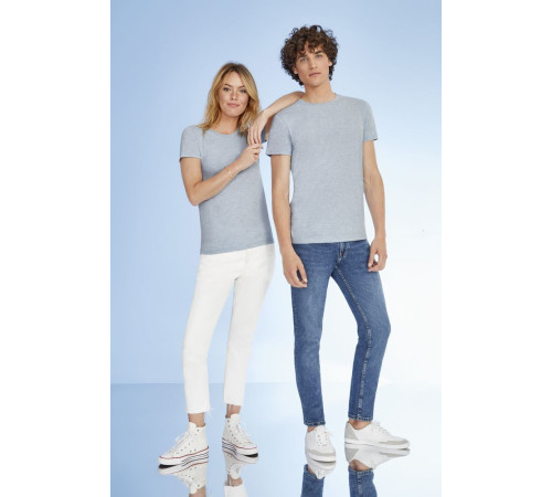 Футболка мужская Regent Fit 150, коричневая (терракотовая)