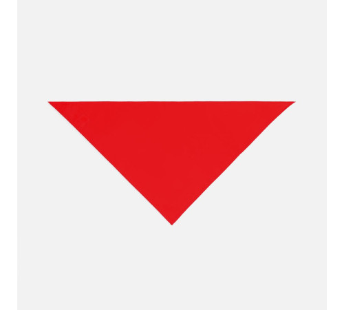 Шейный платок Bandana, красный