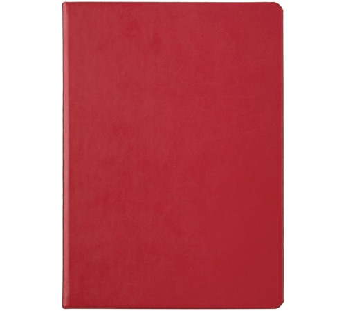 Ежедневник Basis, датированный, красный