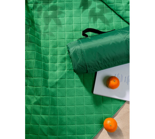 Плед для пикника Comfy, зеленый