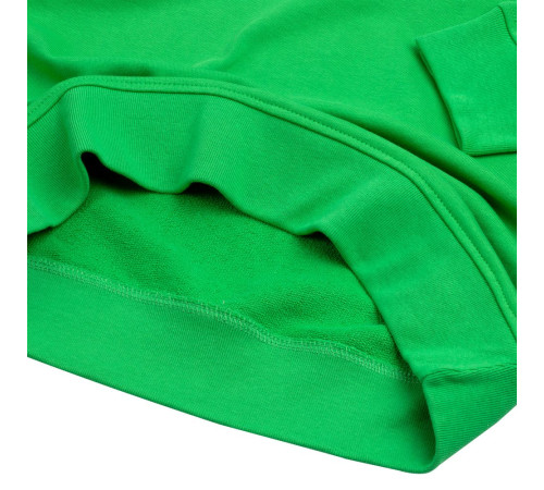 Свитшот унисекс BNC Inspire (Organic), зеленый