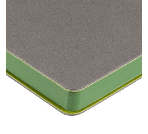 Ежедневник Flexpen, недатированный, серебристо-зеленый