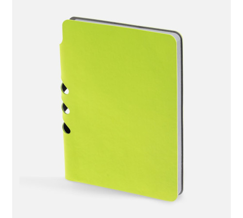 Ежедневник Flexpen Mini, недатированный, светло-зеленый