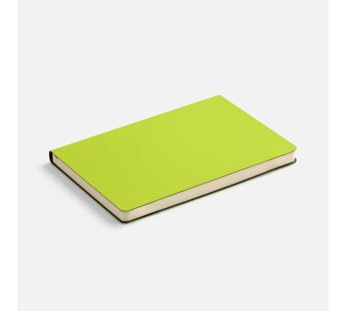 Ежедневник Flex Shall New, недатированный, светло-зеленый