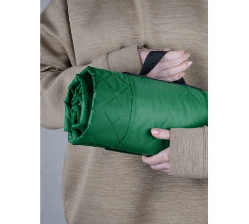 Плед для пикника Comfy, зеленый