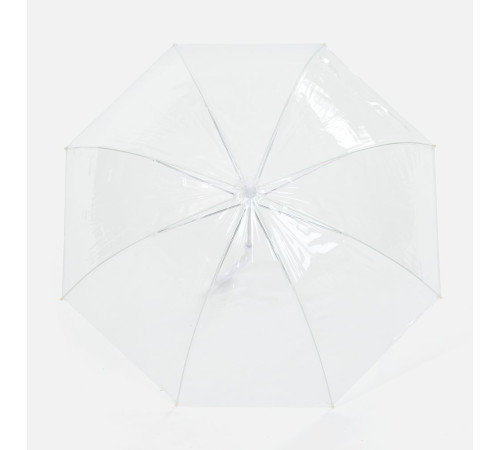 Прозрачный зонт-трость Clear