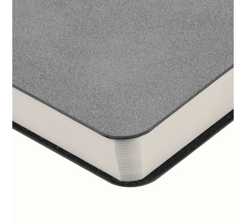 Ежедневник Nubuk, недатированный, светло-серый