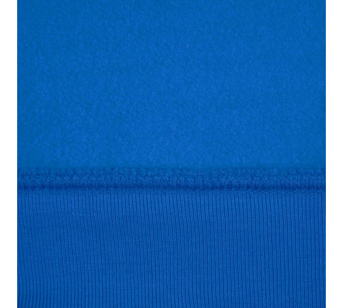 Худи унисекс Phoenix, ярко-синее