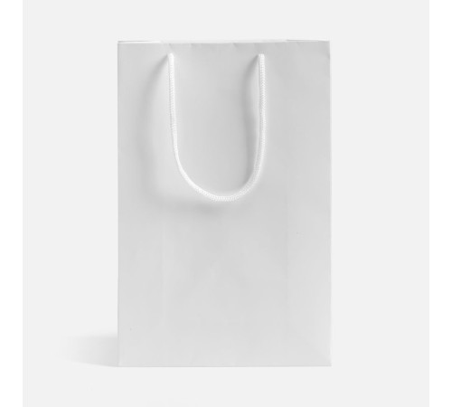 Пакет бумажный с ламинацией Lami S, белый