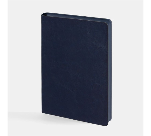 Ежедневник Doppio, недатированный, синий