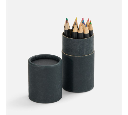 Набор цветных карандашей Pencilvania Tube Plus, черный