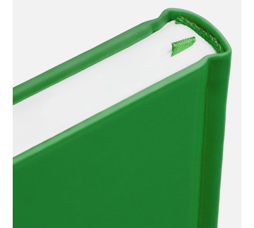 Ежедневник Favor, недатированный, ярко-зеленый