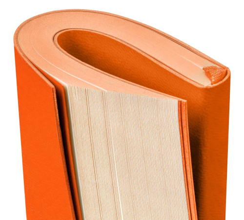Ежедневник Flat Mini, недатированный, оранжевый
