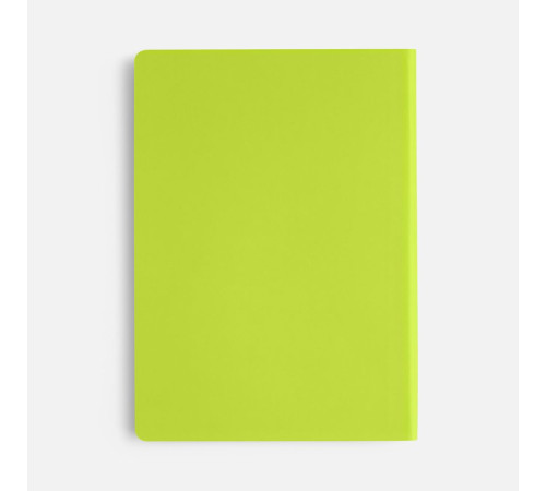 Ежедневник Flex Shall New, недатированный, светло-зеленый