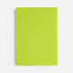 Ежедневник Flex Shall New, недатированный, светло-зеленый