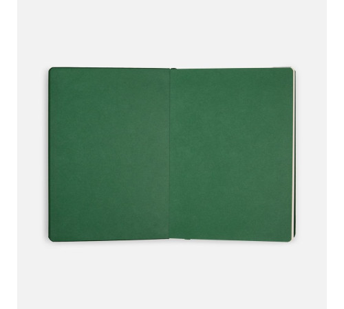 Ежедневник Shall, недатированный, зеленый