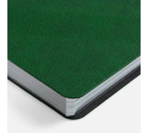 Ежедневник Petrus, недатированный, зеленый