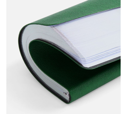 Ежедневник Petrus, недатированный, зеленый