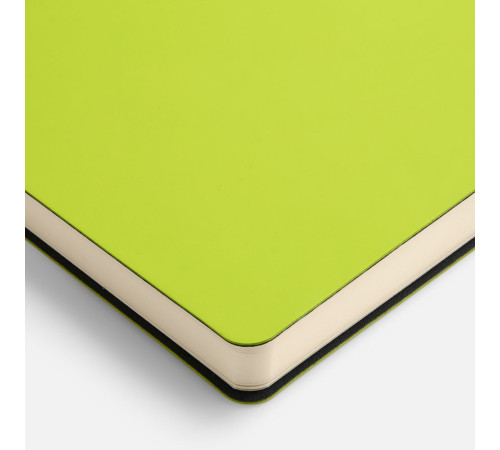 Ежедневник Flex Shall New, недатированный, светло-зеленый