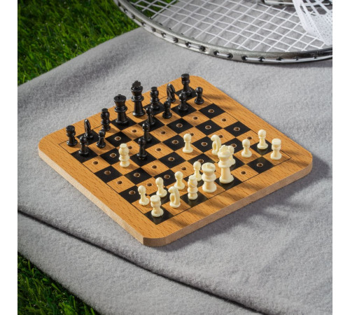 Шахматы дорожные Damier