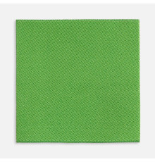 Лейбл тканевый Epsilon, L, зеленый (оливковый)