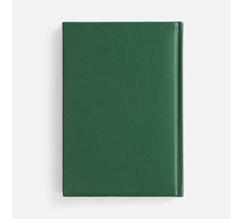Ежедневник Baza, датированный, зеленый