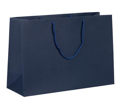 Пакет бумажный Ample Plus M, синий