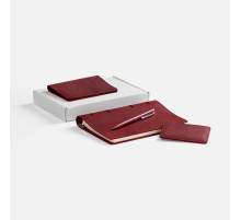 Набор inStream Maxi, красный