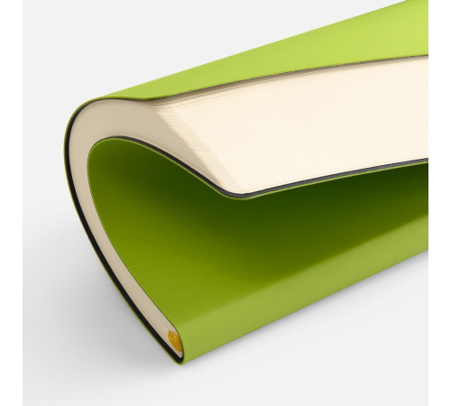 Ежедневник Flex Shall New, недатированный, светло-зеленый