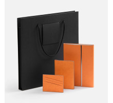 Набор Petrus Flap, оранжевый