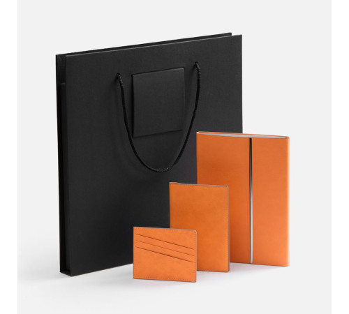 Набор Petrus Flap, оранжевый