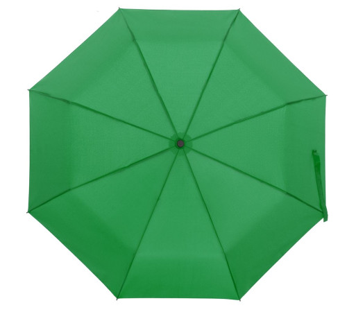 Зонт складной Monsoon, ярко-зеленый