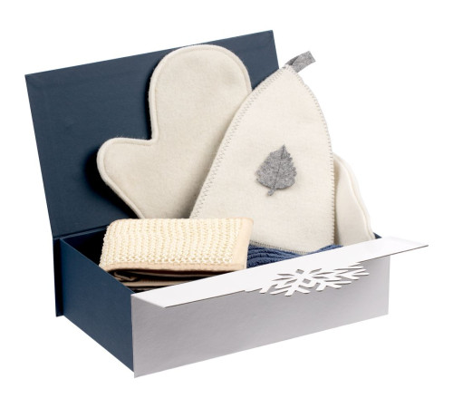 Коробка Snowish, синяя с белым