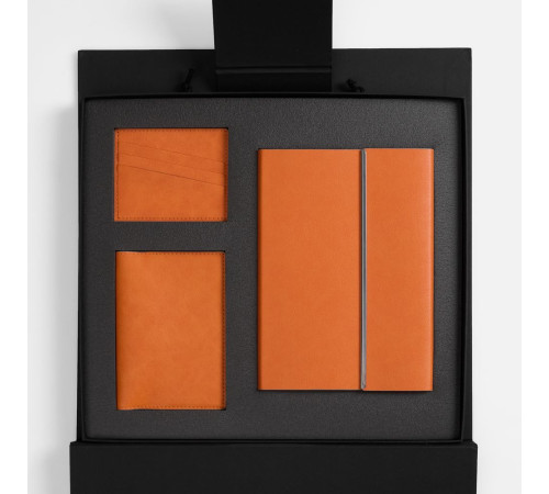 Набор Petrus Flap, оранжевый