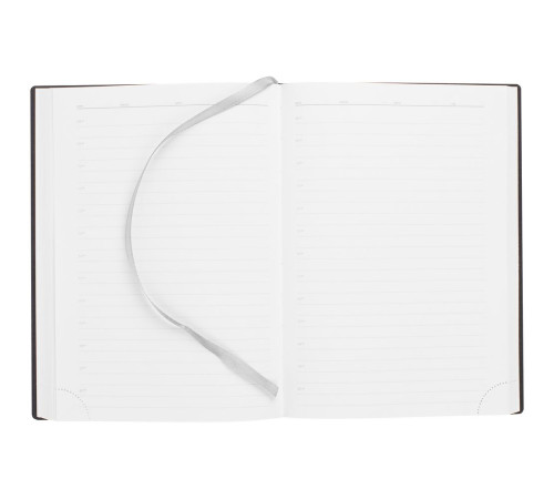 Ежедневник Vivian Metal, недатированный, серый