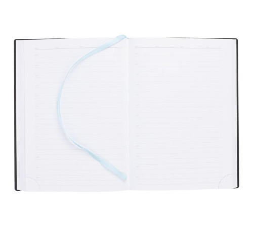 Ежедневник Vivian Metal, недатированный, голубой