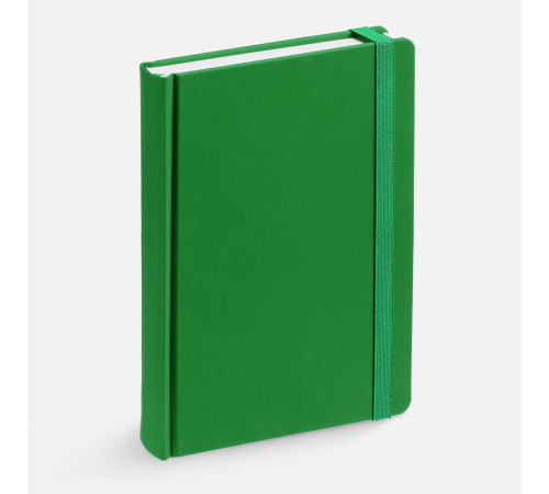 Ежедневник Favor, недатированный, ярко-зеленый