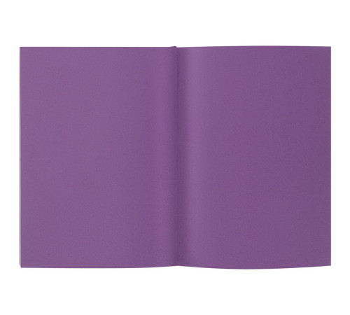Ежедневник Flat, недатированный, фиолетовый