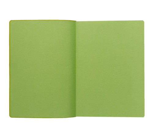 Ежедневник Flexpen Black, недатированный, черный с зеленым