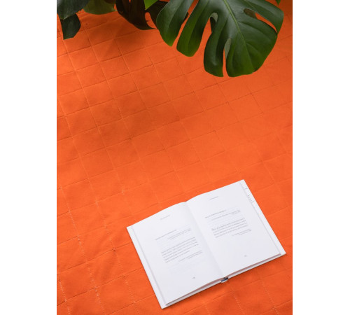 Плед для пикника Soft & Dry 2, оранжевый