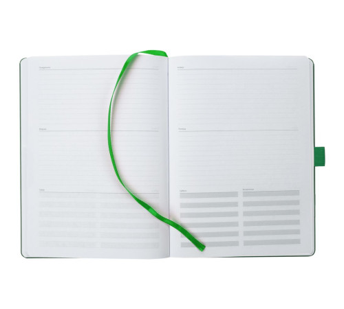 Еженедельник Lucky, недатированный, зеленый